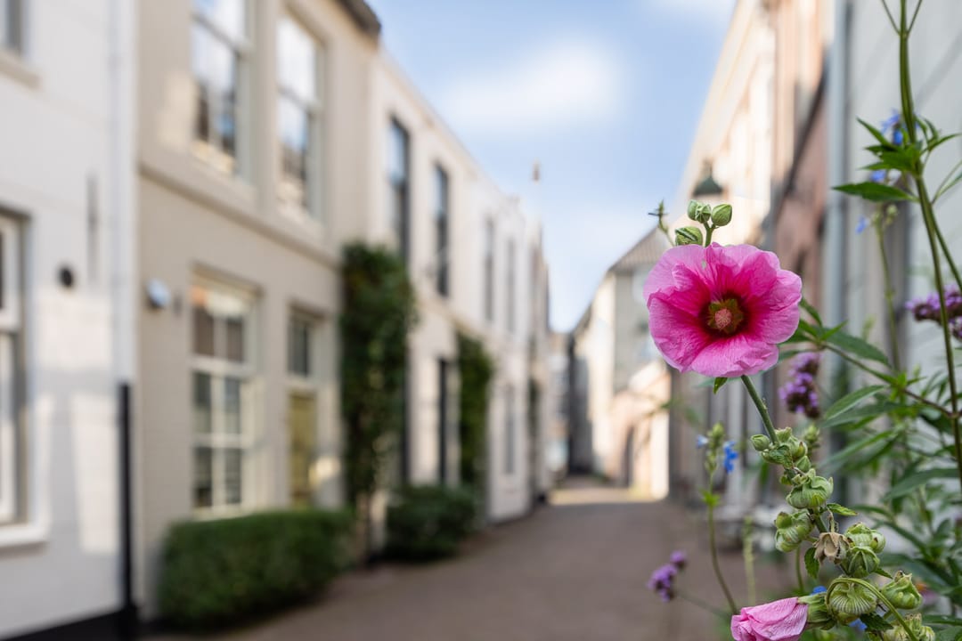 Foto 46 van Kruisbroedersstraatje 27