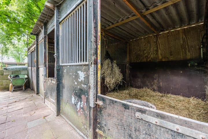 Photo 43 of Veeningen 21