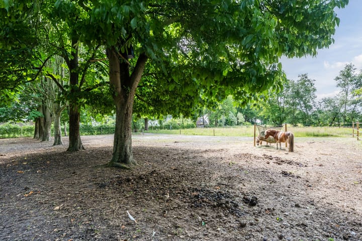 Photo 56 of Veeningen 21