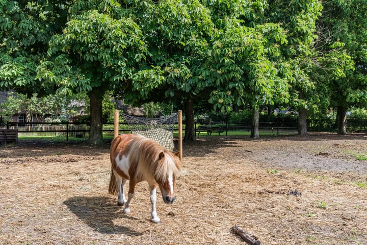 Photo 57 of Veeningen 21