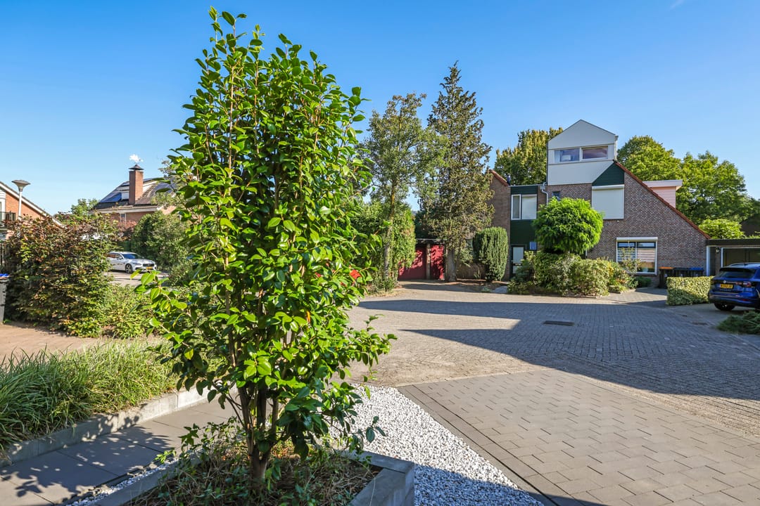 Foto 56 van van der Grijnstraat 33