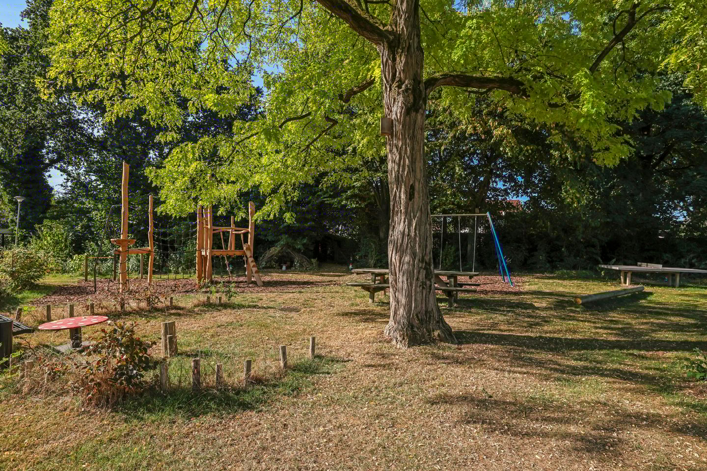 Foto 59 van van der Grijnstraat 33