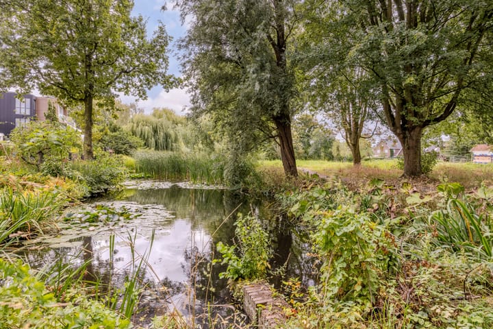 Foto 50 van Bastinglaan 13