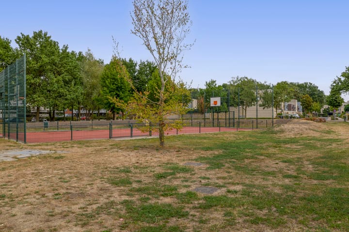 Foto 32 van Schorpioen 53