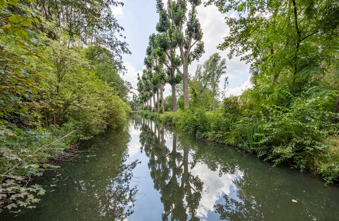 Photo 41 of Aristide Briandstraat 52