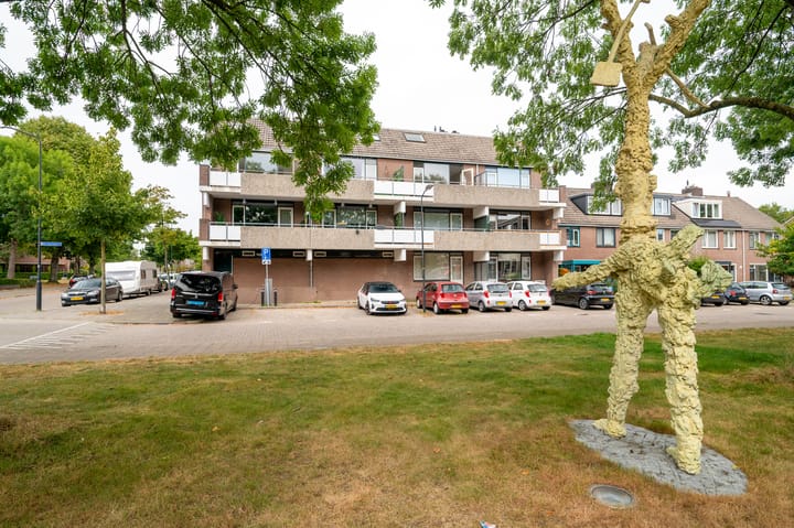 Foto 2 van Hoge Dries 343