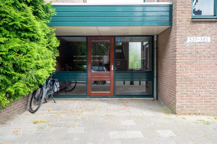 Foto 4 van Hoge Dries 343