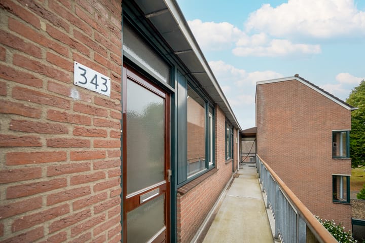 Foto 9 van Hoge Dries 343