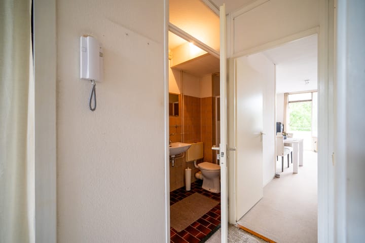 Foto 12 van Hoge Dries 343