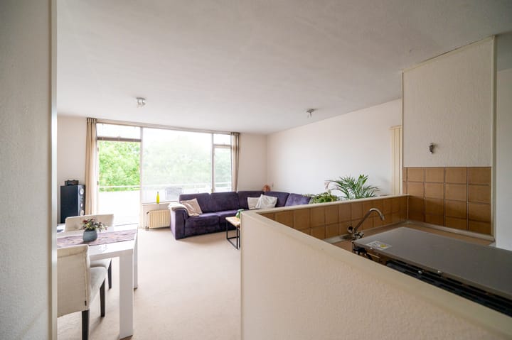 Foto 17 van Hoge Dries 343