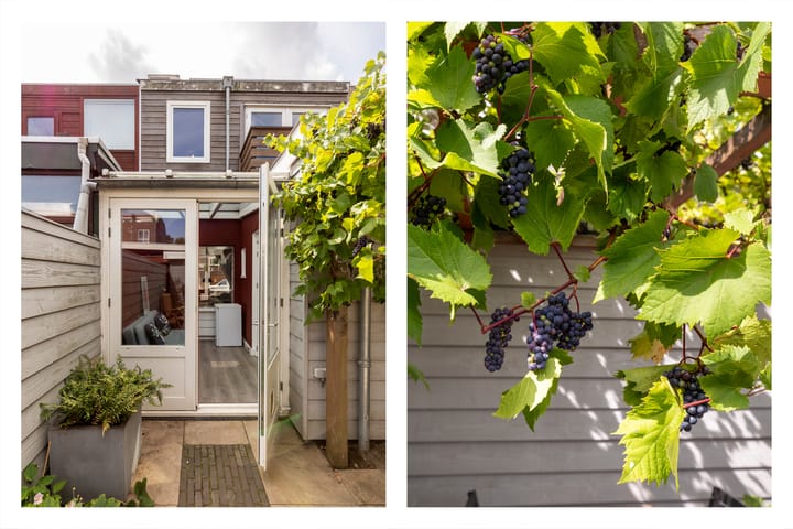 Foto 16 van Zuidpolderstraat 194