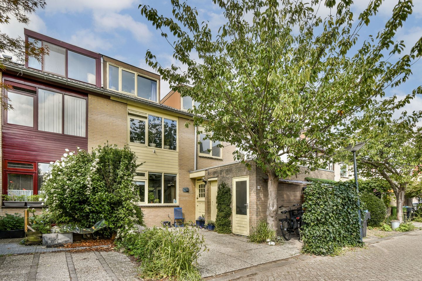 Foto 1 van Klimroos 27