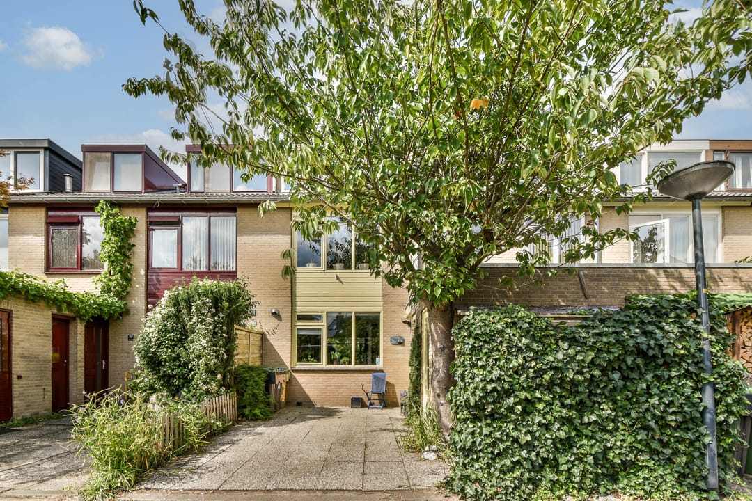 Photo 2 of Klimroos 27