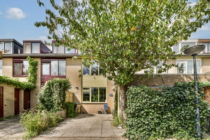 Foto 2 van Klimroos 27