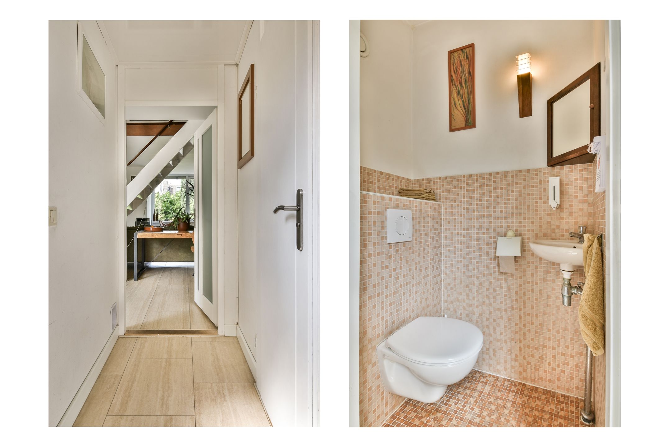 Photo 3 of Klimroos 27