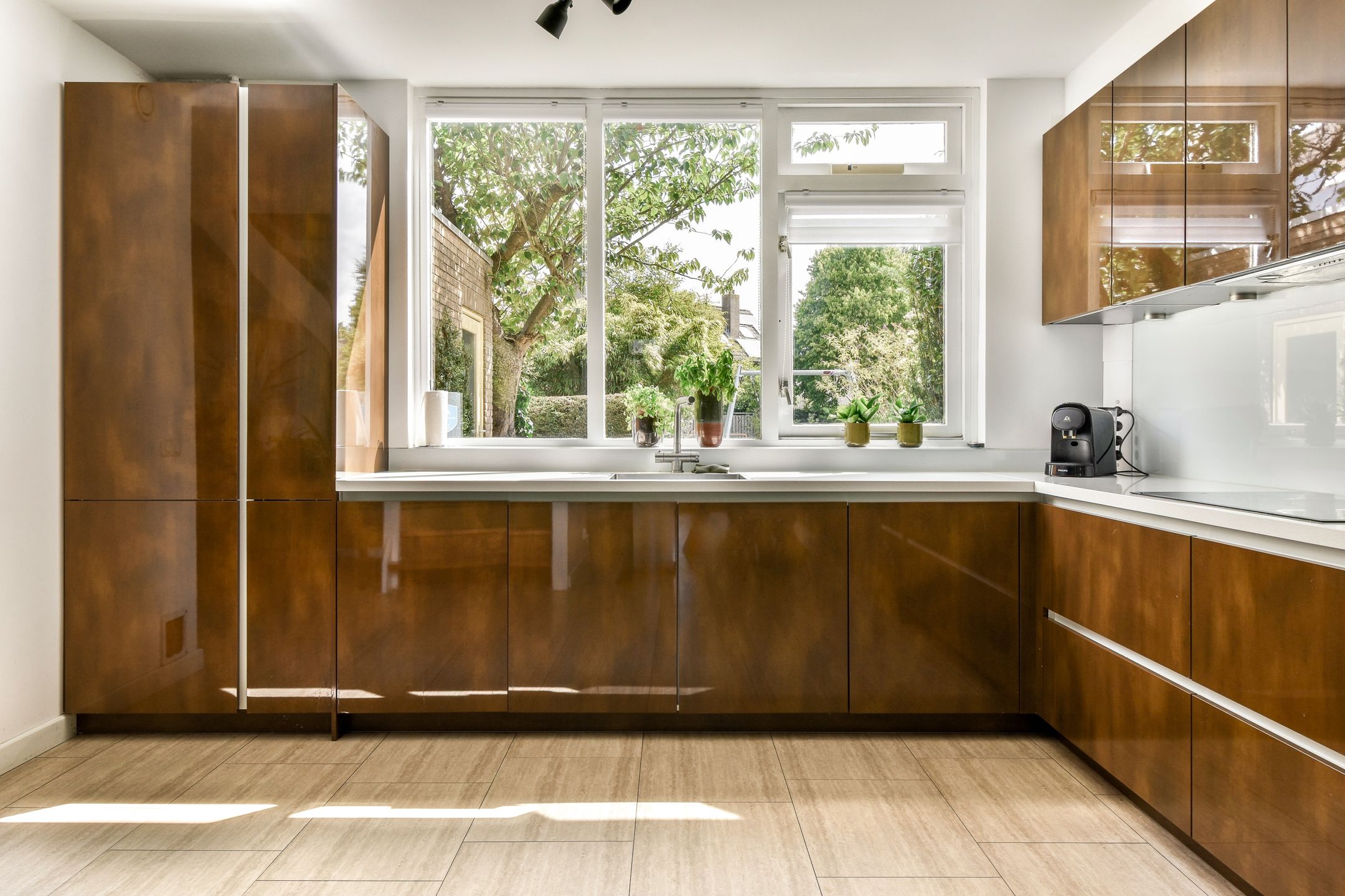 Photo 9 of Klimroos 27