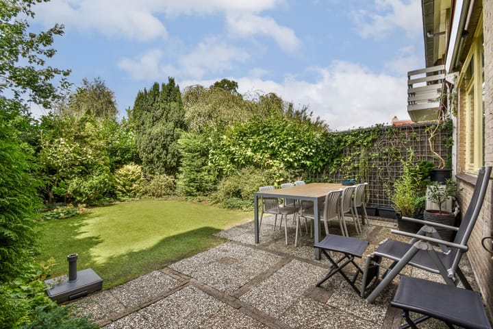 Foto 13 van Klimroos 27