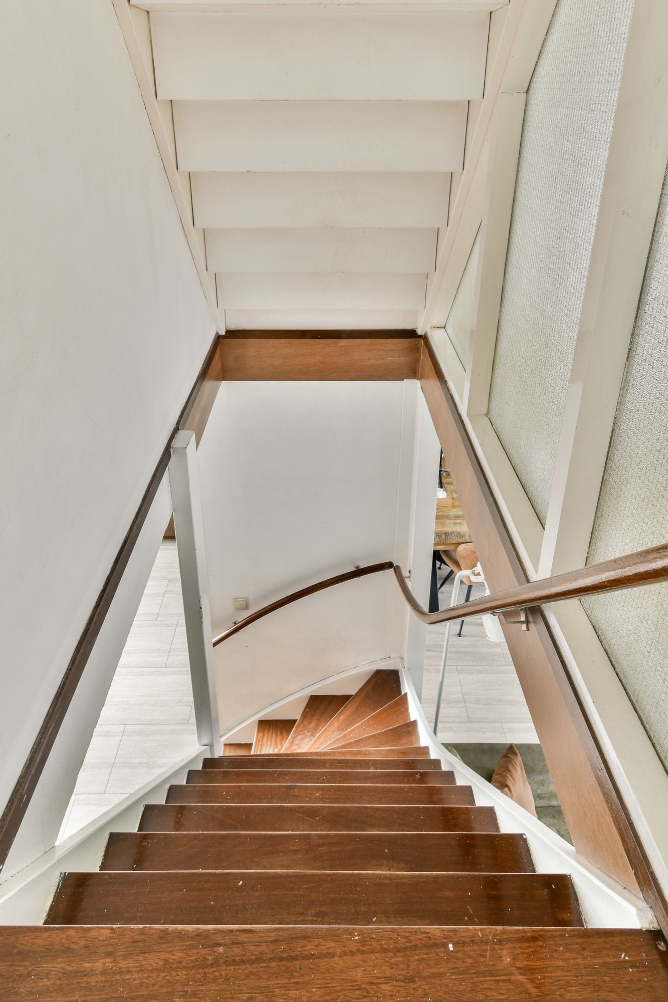 Photo 15 of Klimroos 27