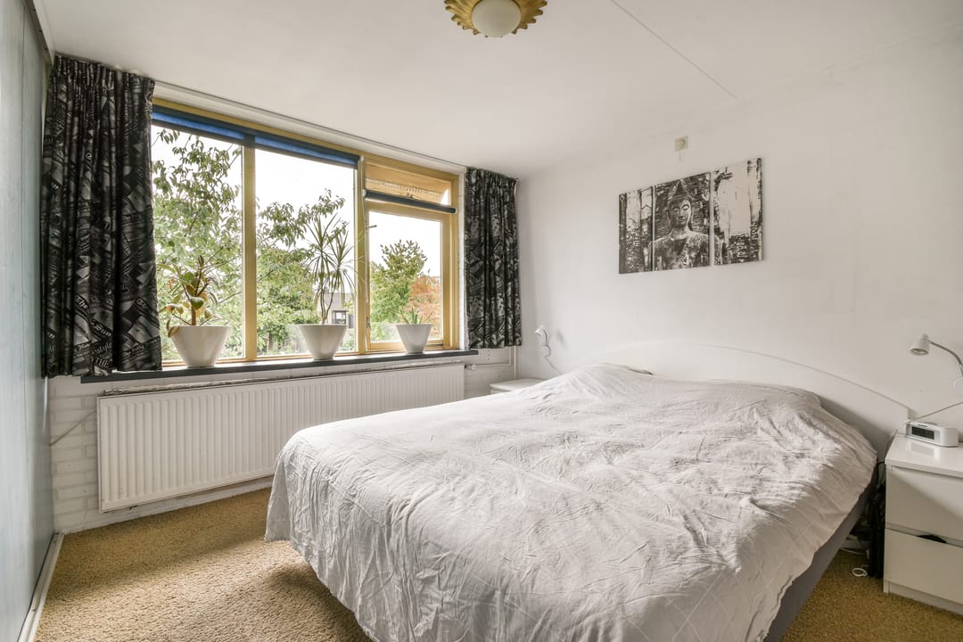 Photo 17 of Klimroos 27