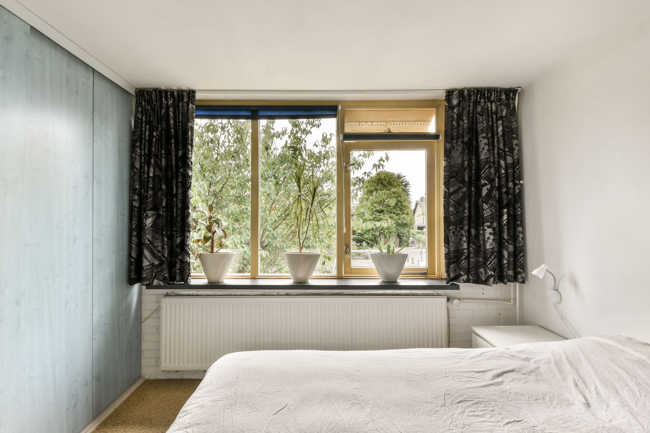 Photo 18 of Klimroos 27