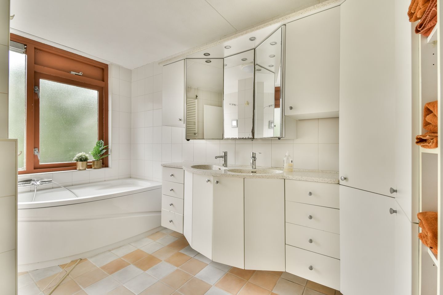 Photo 20 of Klimroos 27