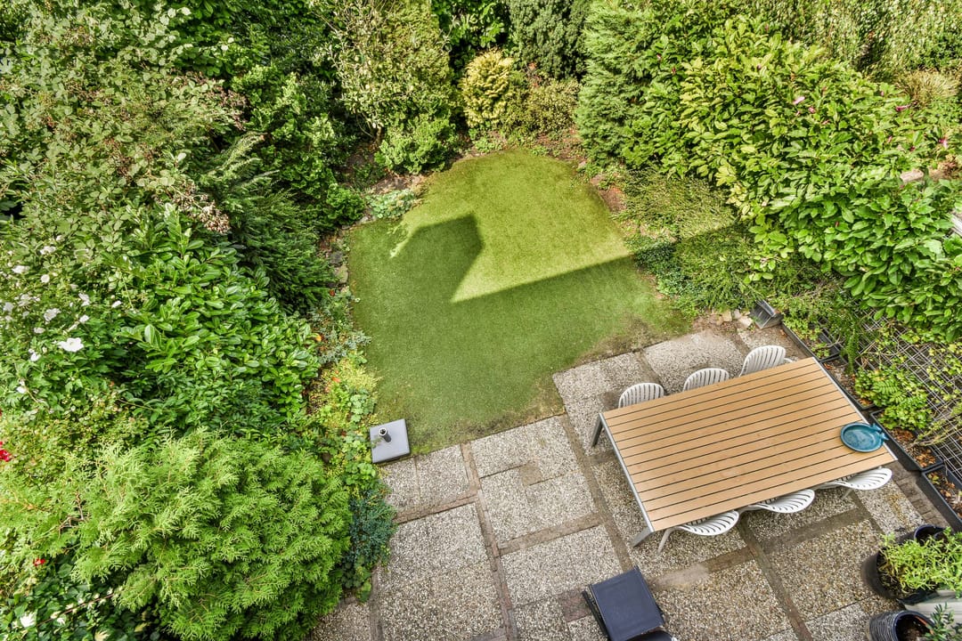 Photo 26 of Klimroos 27