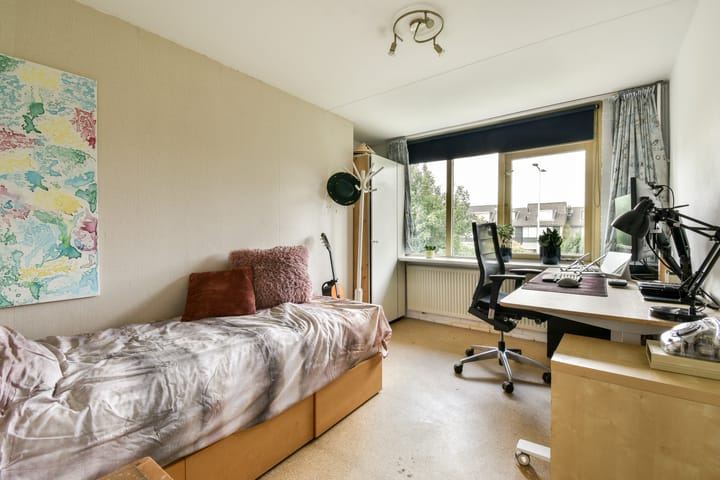 Foto 27 van Klimroos 27