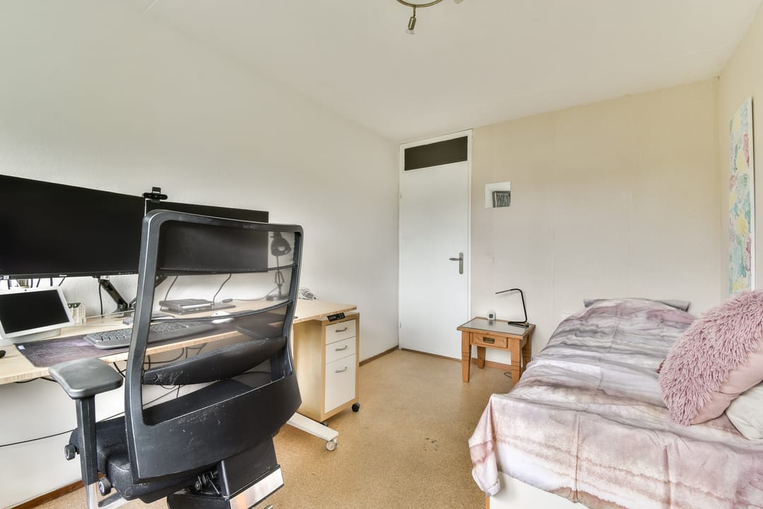 Photo 28 of Klimroos 27