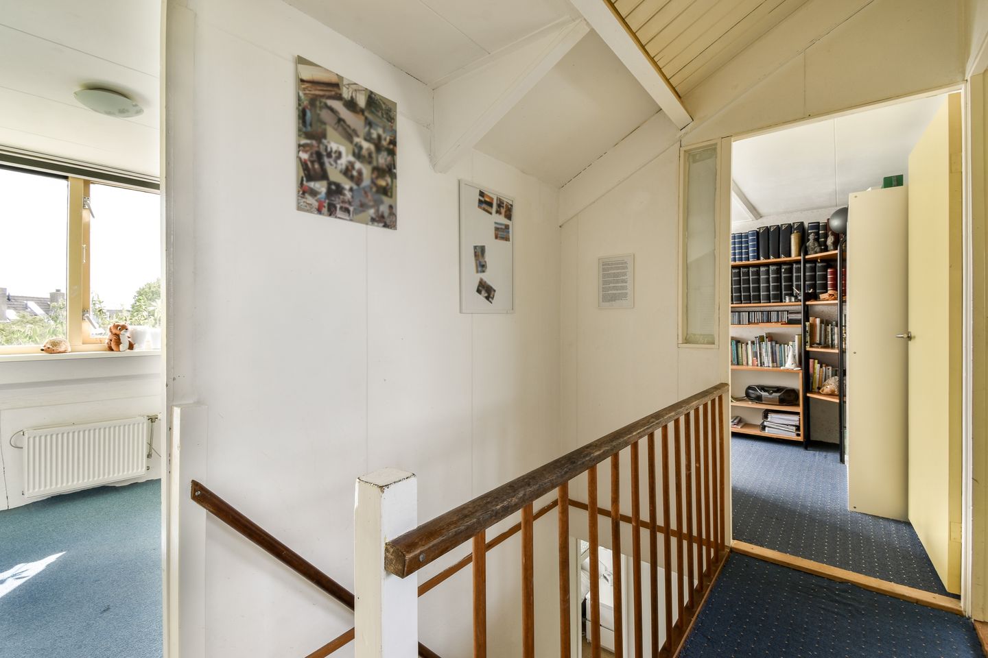 Photo 29 of Klimroos 27