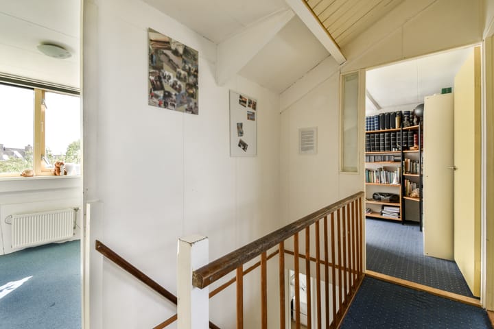 Foto 29 van Klimroos 27