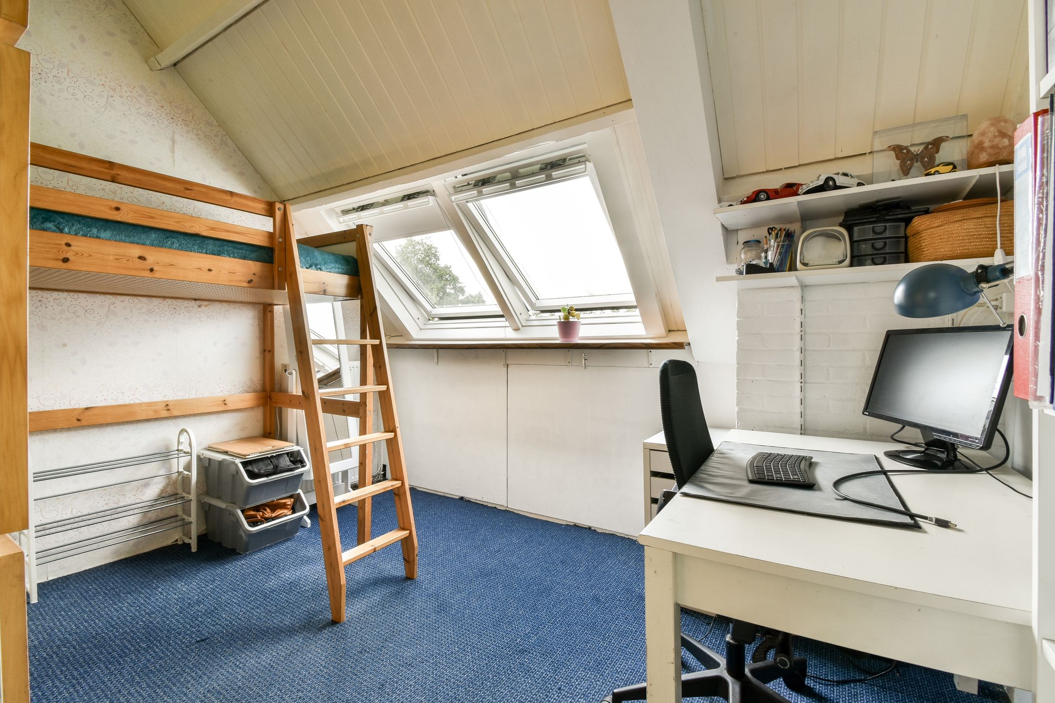 Photo 30 of Klimroos 27