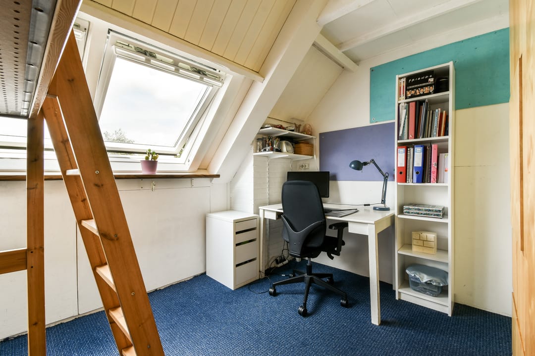 Photo 31 of Klimroos 27