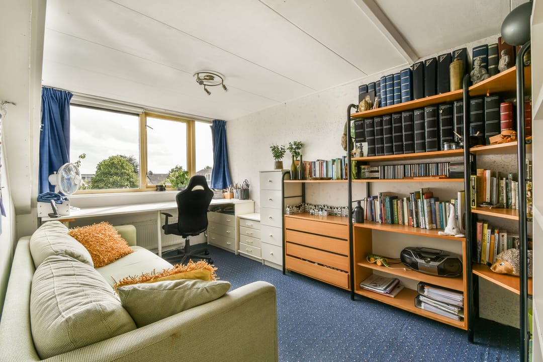 Photo 32 of Klimroos 27