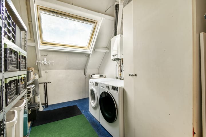 Foto 36 van Klimroos 27