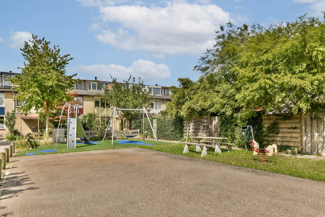 Photo 37 of Klimroos 27