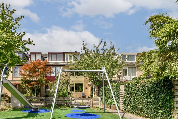 Foto 38 van Klimroos 27