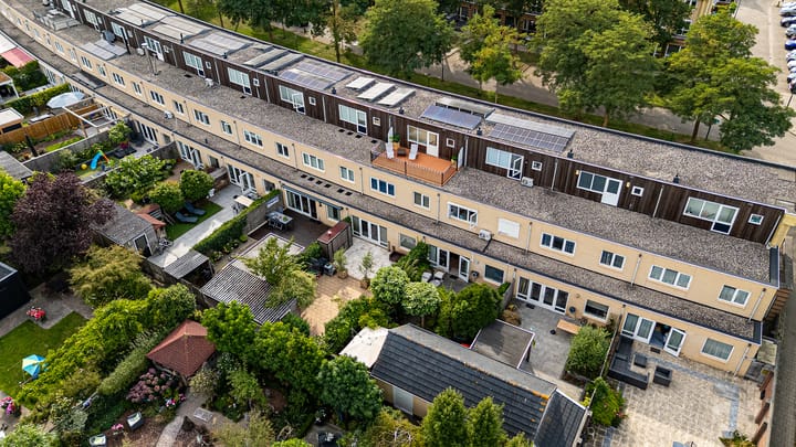 Foto 2 van Fluweelmos 8