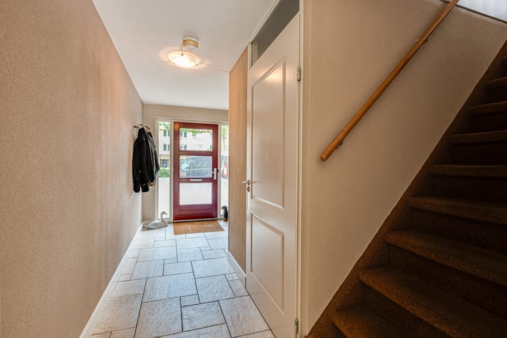 Foto 14 van Fluweelmos 8