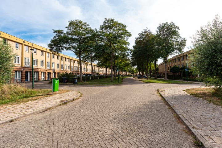 Foto 35 van Fluweelmos 8