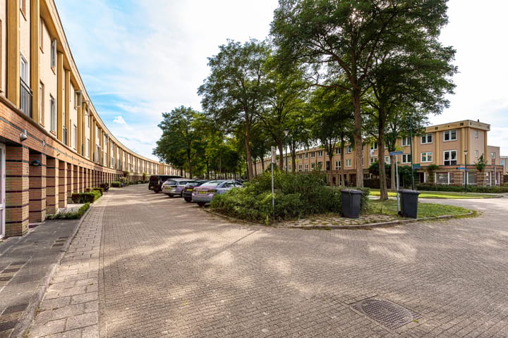 Foto 37 van Fluweelmos 8