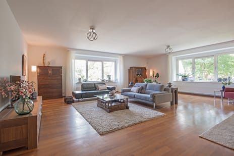 Houtsniplaan thumbnail