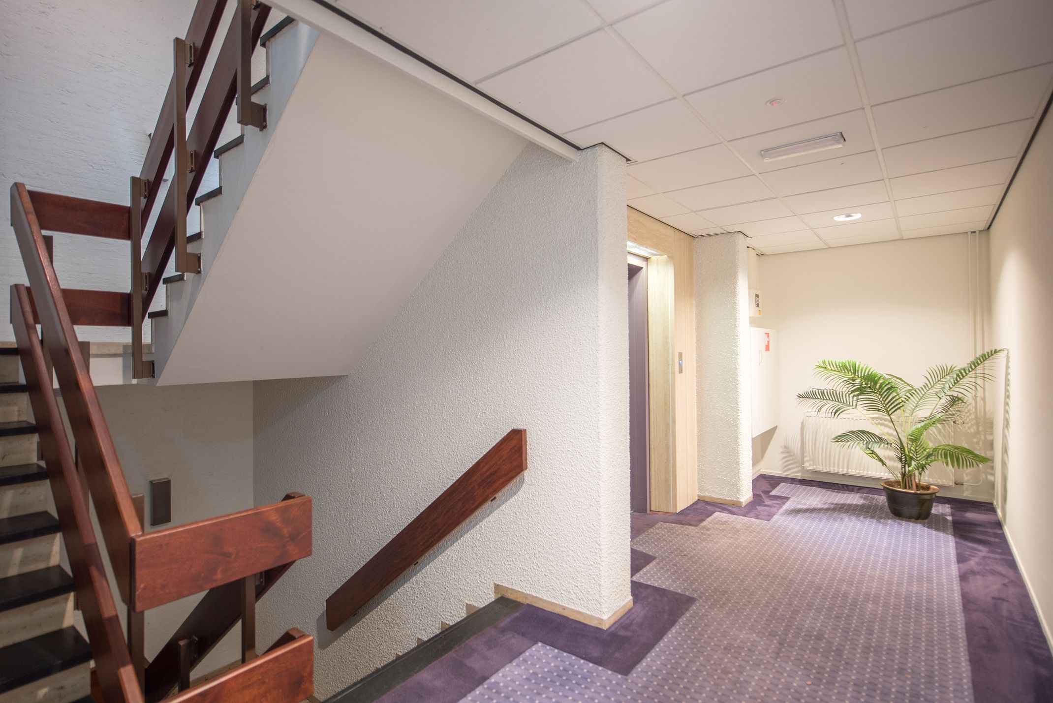 Foto 9 van Houtsniplaan 11