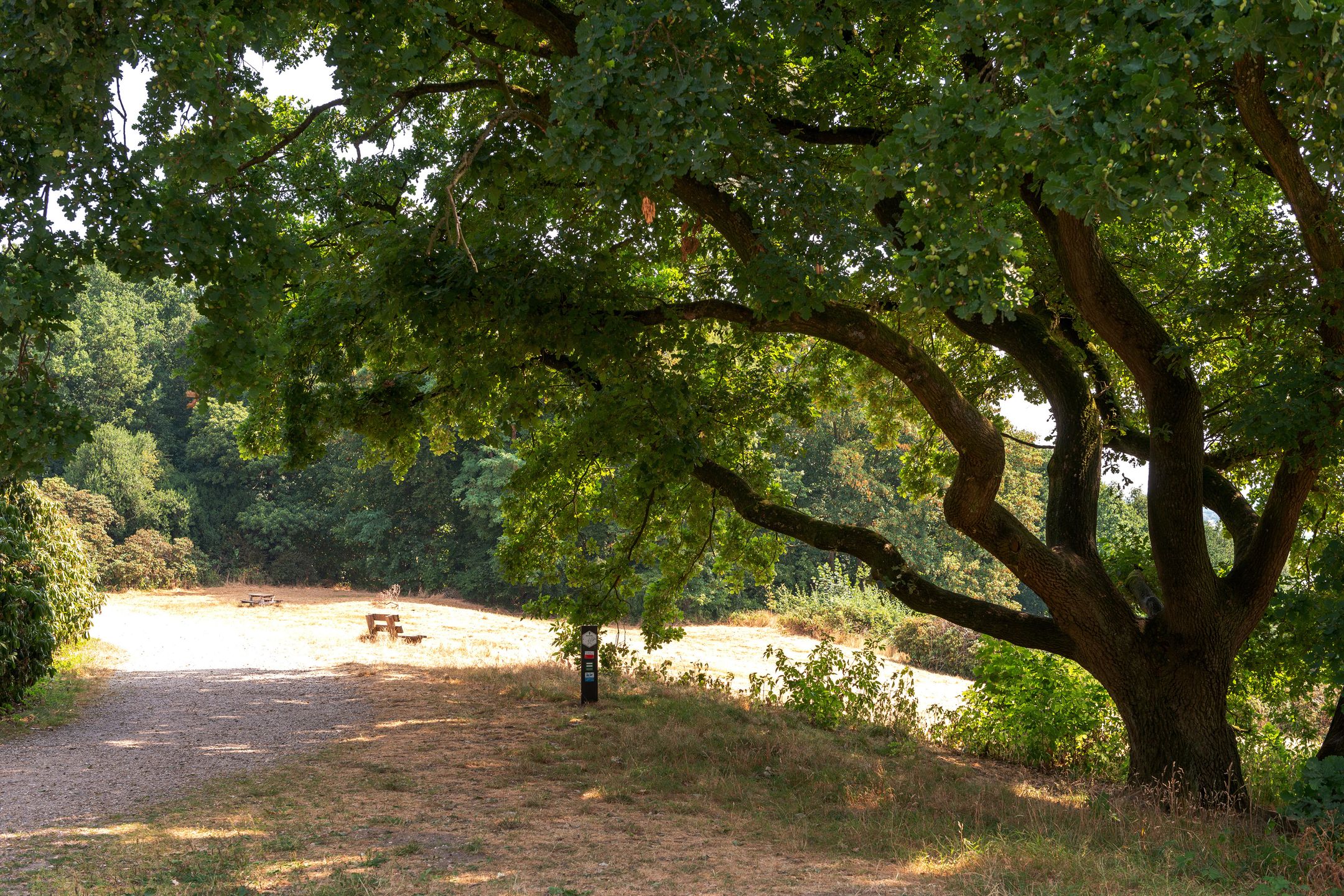 Foto 60 van Houtsniplaan 11