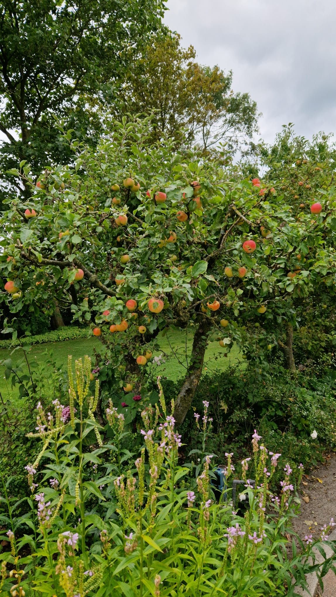 Foto 57 van Runxputteweg 7