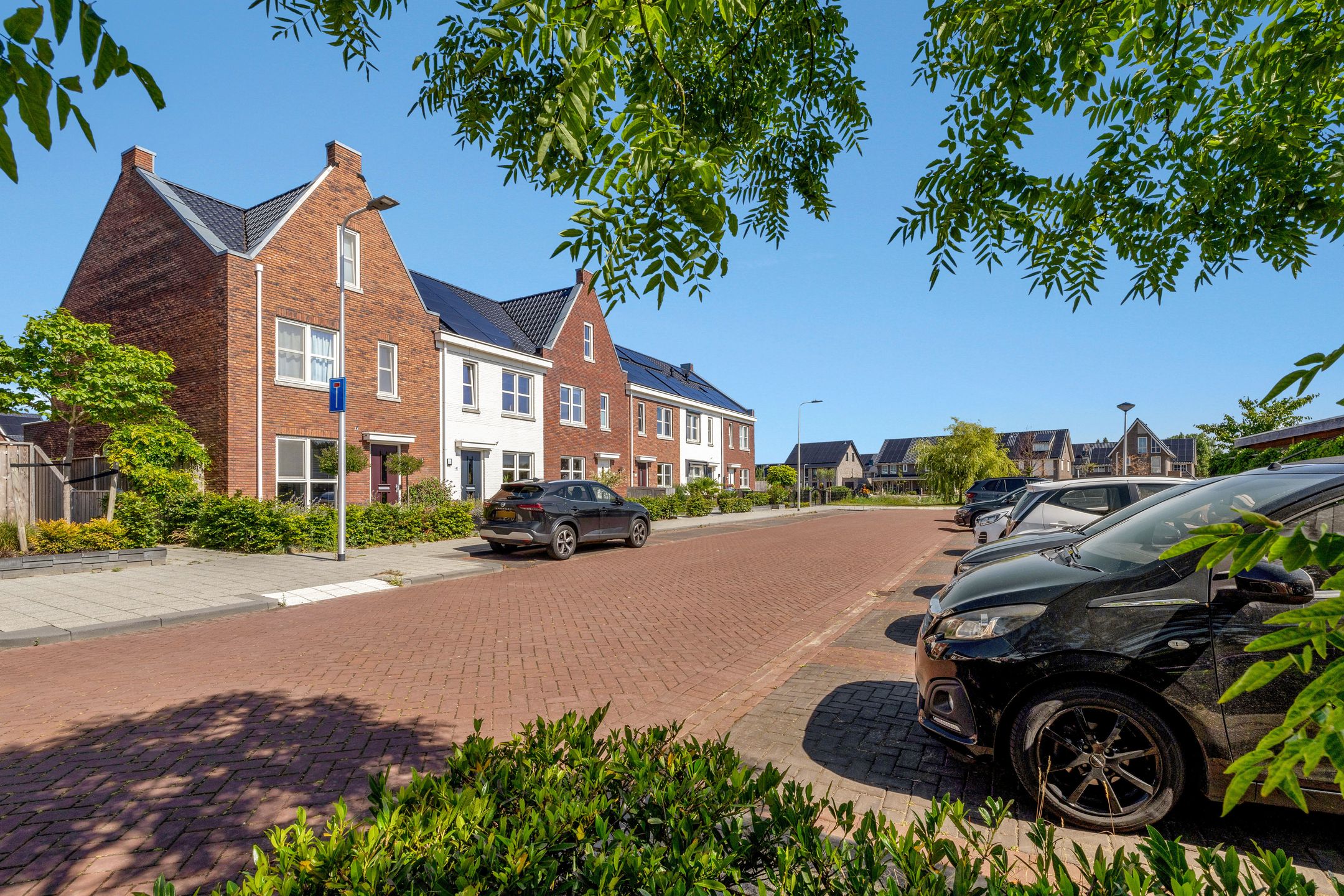 Photo 6 of Fibula 43