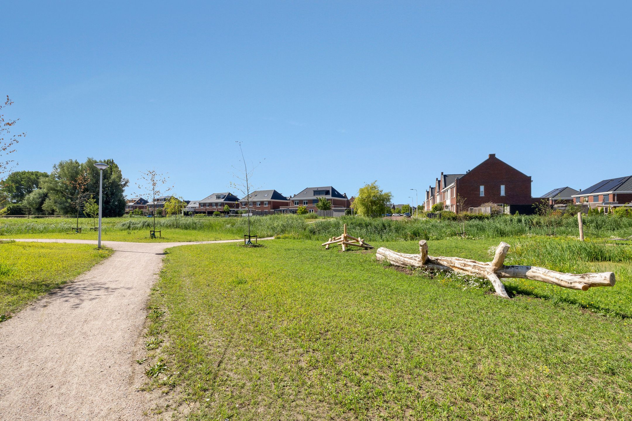 Photo 36 of Fibula 43