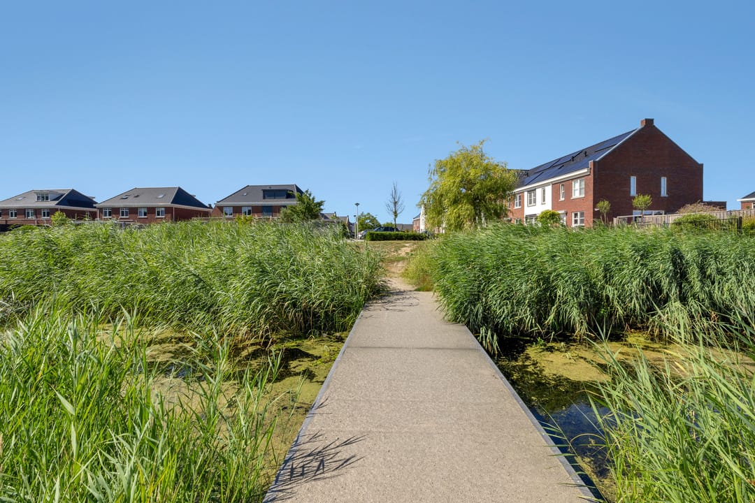 Photo 37 of Fibula 43