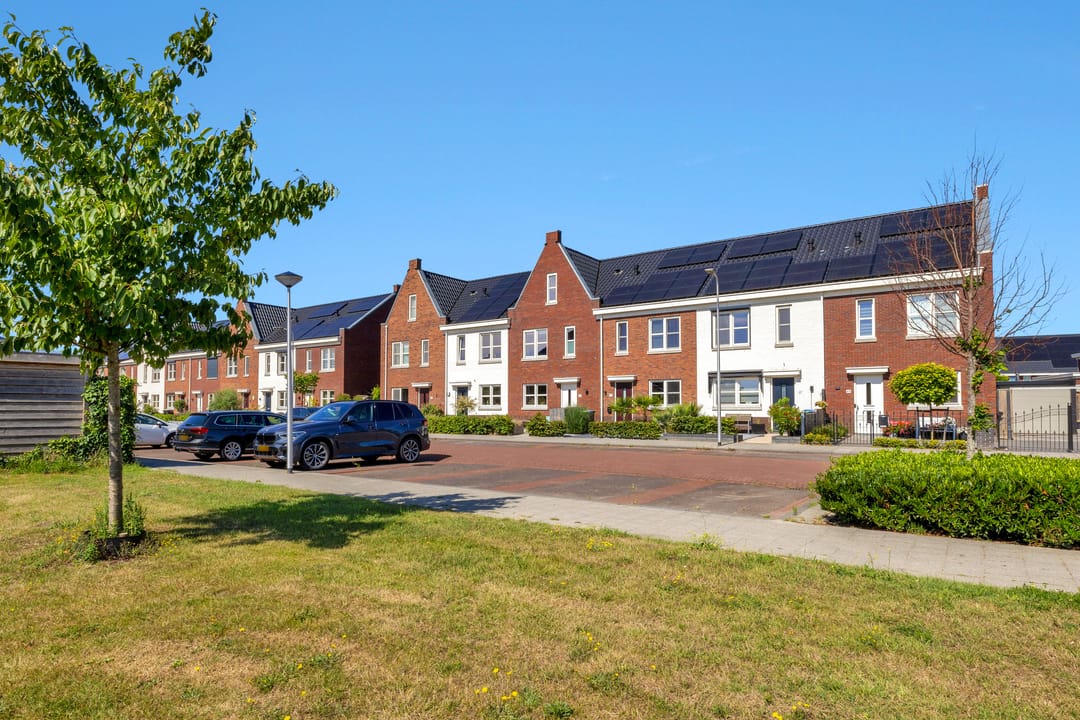 Photo 38 of Fibula 43