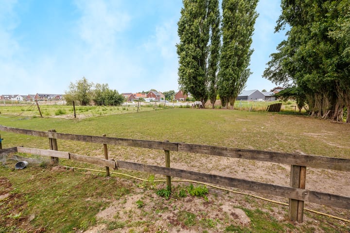 Photo 51 of Spijkerstraat 4