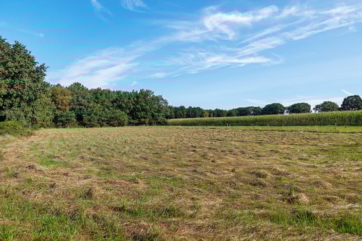 Photo 29 of Verlengde Wilhelmsweg 145